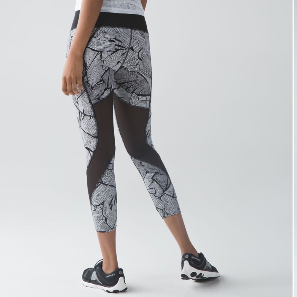 Goal crusher Dottie tribe